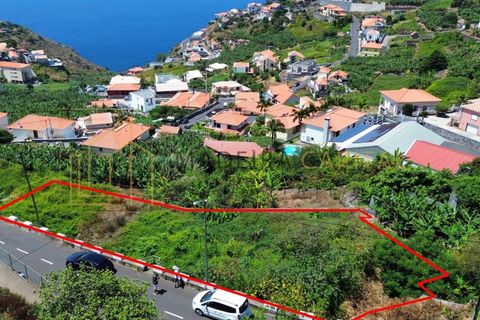 Helårsgrund i Ribeira Brava, Madeira, Ribeira Brava - € 275.000 | Ref: MC_72 - foto 4