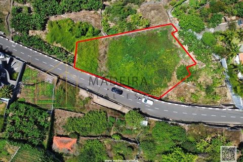 Helårsgrund i Ribeira Brava, Madeira, Ribeira Brava - € 275.000 | Ref: MC_72 - foto 5