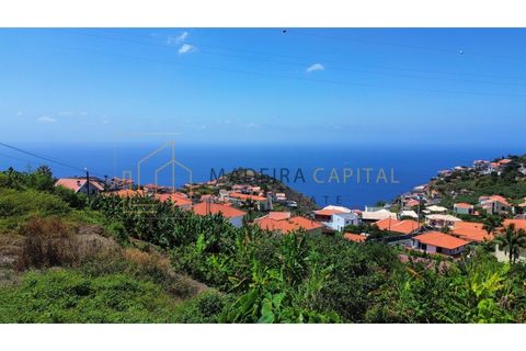 Helårsgrund i Ribeira Brava, Madeira, Ribeira Brava - € 275.000 | Ref: MC_72 - foto 7