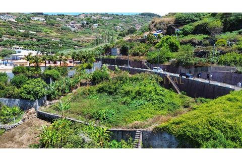 Helårsgrund i Ribeira Brava, Madeira, Ribeira Brava - € 275.000 | Ref: MC_72 - foto 8