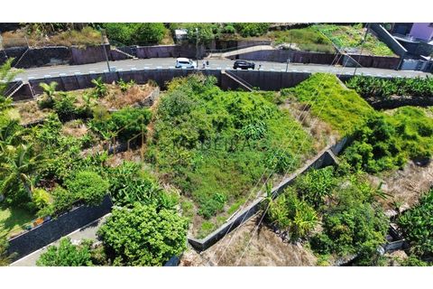 Helårsgrund i Ribeira Brava, Madeira, Ribeira Brava - € 275.000 | Ref: MC_72 - foto 10