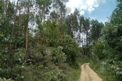 Helårsgrund i Tomar, Santarem, Tomar - € 7.500 | Ref: C0452-00346 - foto 2