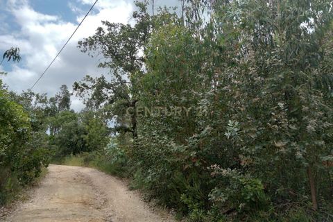 Helårsgrund i Tomar, Santarem, Tomar - € 7.500 | Ref: C0452-00346 - foto 5