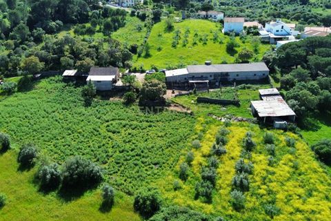 Helårsgrund i Pombal, Leiria, Pombal - € 110.000 | Ref: C0452-00373 - foto 1