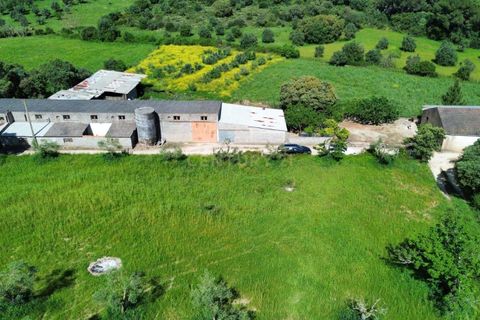 Helårsgrund i Pombal, Leiria, Pombal - € 110.000 | Ref: C0452-00373 - foto 2