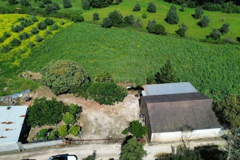 Helårsgrund i Pombal, Leiria, Pombal - € 110.000 | Ref: C0452-00373 - foto 5
