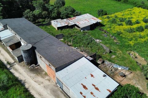 Helårsgrund i Pombal, Leiria, Pombal - € 110.000 | Ref: C0452-00373 - foto 6