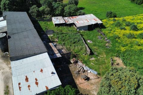 Helårsgrund i Pombal, Leiria, Pombal - € 110.000 | Ref: C0452-00373 - foto 7