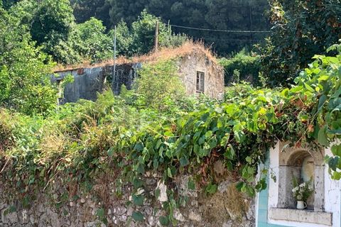 Villa i Caminha, Viana do Castelo, Caminha - € 195.000 | Ref: A832025 - foto 16