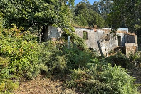 Villa i Caminha, Viana do Castelo, Caminha - € 195.000 | Ref: A832025 - foto 23
