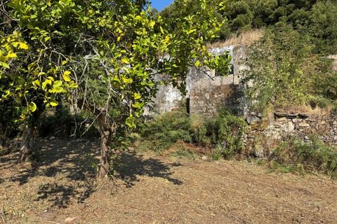 Villa i Caminha, Viana do Castelo, Caminha - € 195.000 | Ref: A832025 - foto 25
