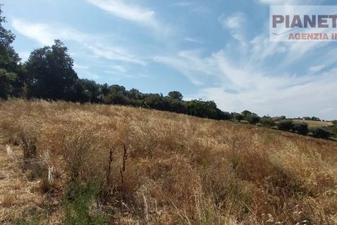 Tomt i Spinetoli, Ascoli Piceno, Spinetoli - € 55 000 | Ref: VT2729 - foto 2