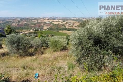 Tomt i Spinetoli, Ascoli Piceno, Spinetoli - € 55 000 | Ref: VT2729 - foto 3
