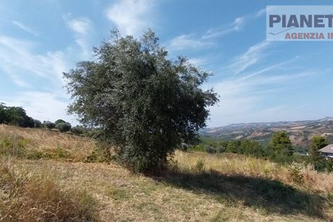 Tomt i Spinetoli, Ascoli Piceno, Spinetoli - € 55 000 | Ref: VT2729 - foto 6