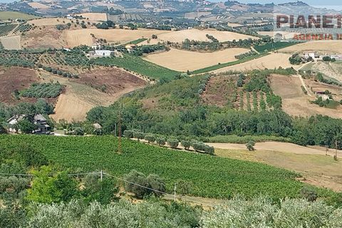 Tomt i Spinetoli, Ascoli Piceno, Spinetoli - € 55 000 | Ref: VT2729 - foto 7