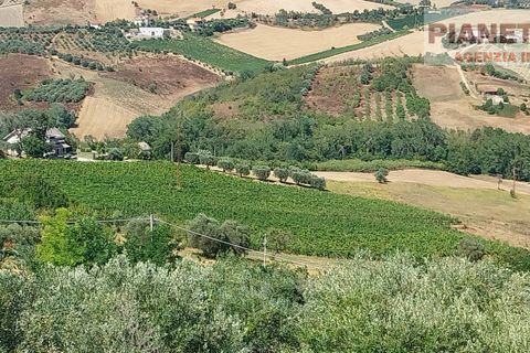Tomt i Spinetoli, Ascoli Piceno, Spinetoli - € 55 000 | Ref: VT2729 - foto 8