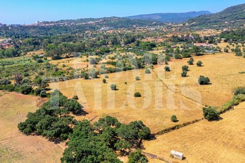 Helårsgrund i Setubal, Setubal, Setubal - € 790.000 | Ref: HT_40983 - foto 6