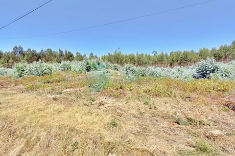 Helårsgrund i Torres Vedras, Lisbon, Torres Vedras - € 80.000 | Ref: 3326(7)-LTAM - foto 12