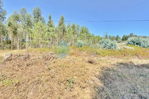 Helårsgrund i Torres Vedras, Lisbon, Torres Vedras - € 80.000 | Ref: 3326(7)-LTAM - foto 14