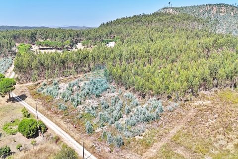 Helårsgrund i Torres Vedras, Lisbon, Torres Vedras - € 80.000 | Ref: 3326(7)-LTAM - foto 15