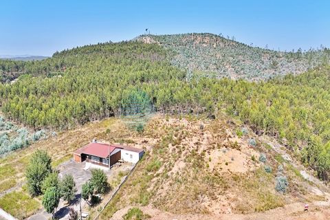 Helårsgrund i Torres Vedras, Lisbon, Torres Vedras - € 80.000 | Ref: 3326(7)-LTAM - foto 17