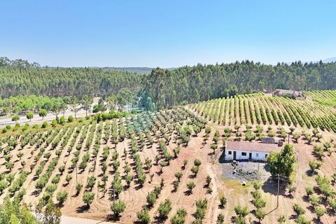 Helårsgrund i Torres Vedras, Lisbon, Torres Vedras - € 80.000 | Ref: 3326(7)-LTAM - foto 19