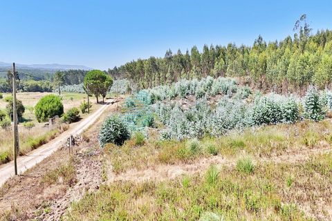 Helårsgrund i Torres Vedras, Lisbon, Torres Vedras - € 80.000 | Ref: 3326(7)-LTAM - foto 22