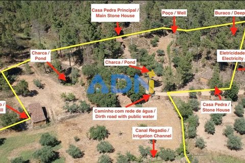 Helårsgrund i Castelo Branco, Castelo Branco, Castelo Branco - € 40.000 | Ref: 125077 - foto 2