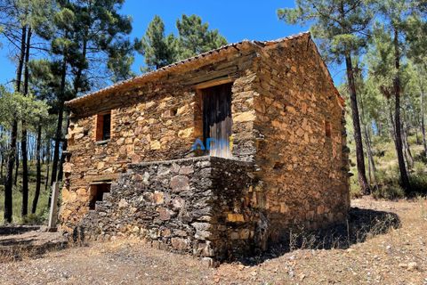 Helårsgrund i Castelo Branco, Castelo Branco, Castelo Branco - € 40.000 | Ref: 125077 - foto 5