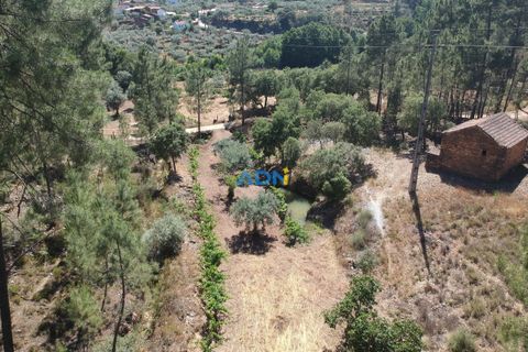 Helårsgrund i Castelo Branco, Castelo Branco, Castelo Branco - € 40.000 | Ref: 125077 - foto 3