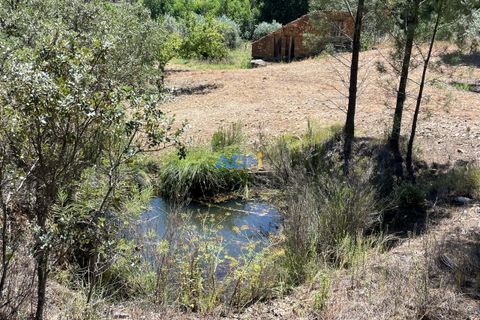 Helårsgrund i Castelo Branco, Castelo Branco, Castelo Branco - € 40.000 | Ref: 125077 - foto 8