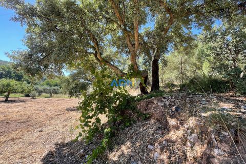 Helårsgrund i Castelo Branco, Castelo Branco, Castelo Branco - € 40.000 | Ref: 125077 - foto 12