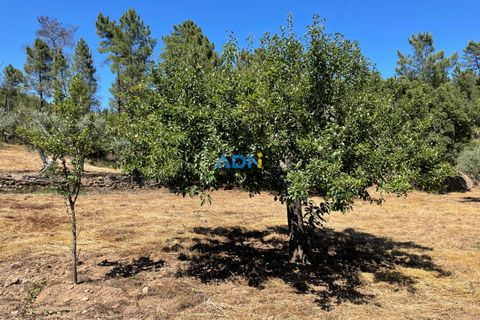 Helårsgrund i Castelo Branco, Castelo Branco, Castelo Branco - € 40.000 | Ref: 125077 - foto 15