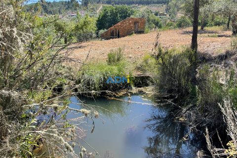 Helårsgrund i Castelo Branco, Castelo Branco, Castelo Branco - € 40.000 | Ref: 125077 - foto 16