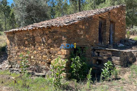 Helårsgrund i Castelo Branco, Castelo Branco, Castelo Branco - € 40.000 | Ref: 125077 - foto 18