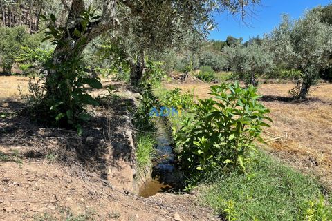 Helårsgrund i Castelo Branco, Castelo Branco, Castelo Branco - € 40.000 | Ref: 125077 - foto 19
