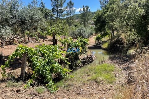 Helårsgrund i Castelo Branco, Castelo Branco, Castelo Branco - € 40.000 | Ref: 125077 - foto 22