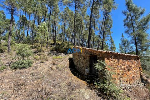 Helårsgrund i Castelo Branco, Castelo Branco, Castelo Branco - € 40.000 | Ref: 125077 - foto 23