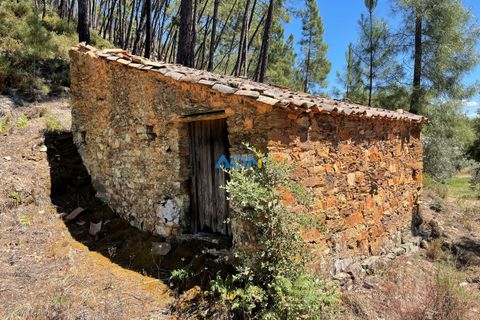 Helårsgrund i Castelo Branco, Castelo Branco, Castelo Branco - € 40.000 | Ref: 125077 - foto 25
