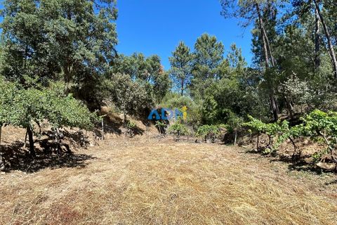 Helårsgrund i Castelo Branco, Castelo Branco, Castelo Branco - € 40.000 | Ref: 125077 - foto 31