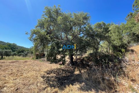 Helårsgrund i Castelo Branco, Castelo Branco, Castelo Branco - € 40.000 | Ref: 125077 - foto 34