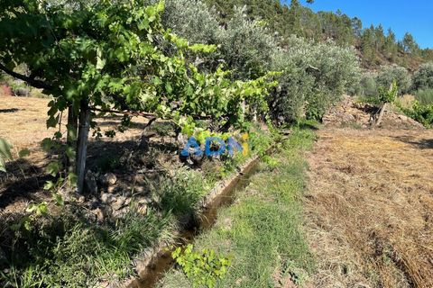 Helårsgrund i Castelo Branco, Castelo Branco, Castelo Branco - € 40.000 | Ref: 125077 - foto 45