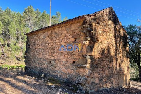 Helårsgrund i Castelo Branco, Castelo Branco, Castelo Branco - € 40.000 | Ref: 125077 - foto 49