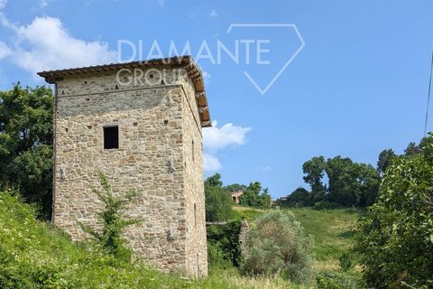 Farm i Gubbio, Perugia, Gubbio - € 310.000 | Ref: AZ372 - foto 9