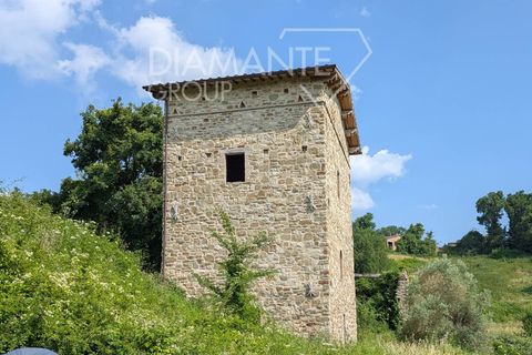 Farm i Gubbio, Perugia, Gubbio - € 310.000 | Ref: AZ372 - foto 10