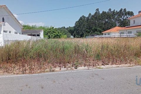 Terra a Ilhavo, Aveiro, Ilhavo - € 80.000 | Ref: 146876 - foto 2