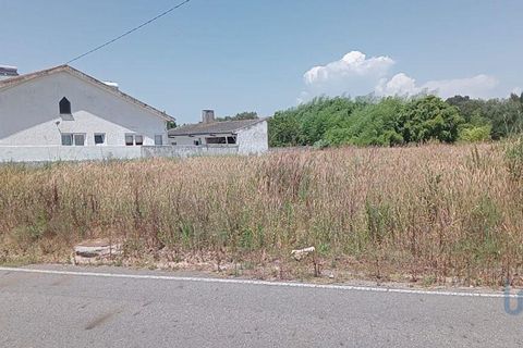 Terra a Ilhavo, Aveiro, Ilhavo - € 80.000 | Ref: 146876 - foto 3