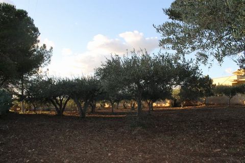 Villa i Ribera, Agrigento, Ribera - € 1.400.000 | Ref: Valenti Ribera - foto 2