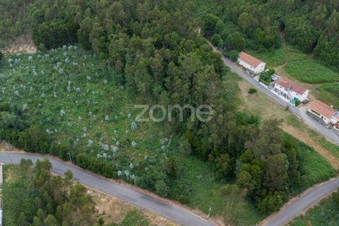 Helårsgrund i Grijo, Porto, Grijo - € 45.000 | Ref: ZMPT579557 - foto 6