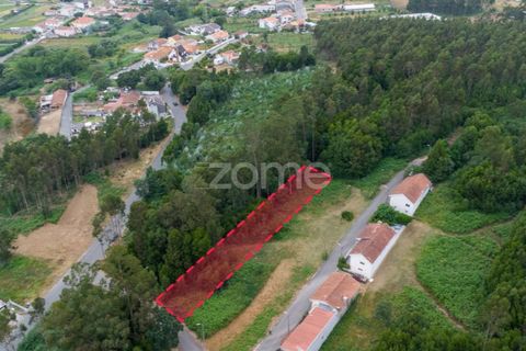 Helårsgrund i Grijo, Porto, Grijo - € 45.000 | Ref: ZMPT579557 - foto 1